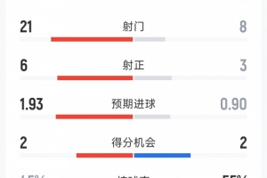 切爾西1-2桑德蘭全場數(shù)據(jù)：射門8-21，射正3-6，紅牌1-0