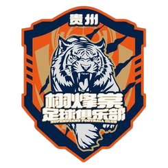 貴州栩烽棠首發(fā)陣容